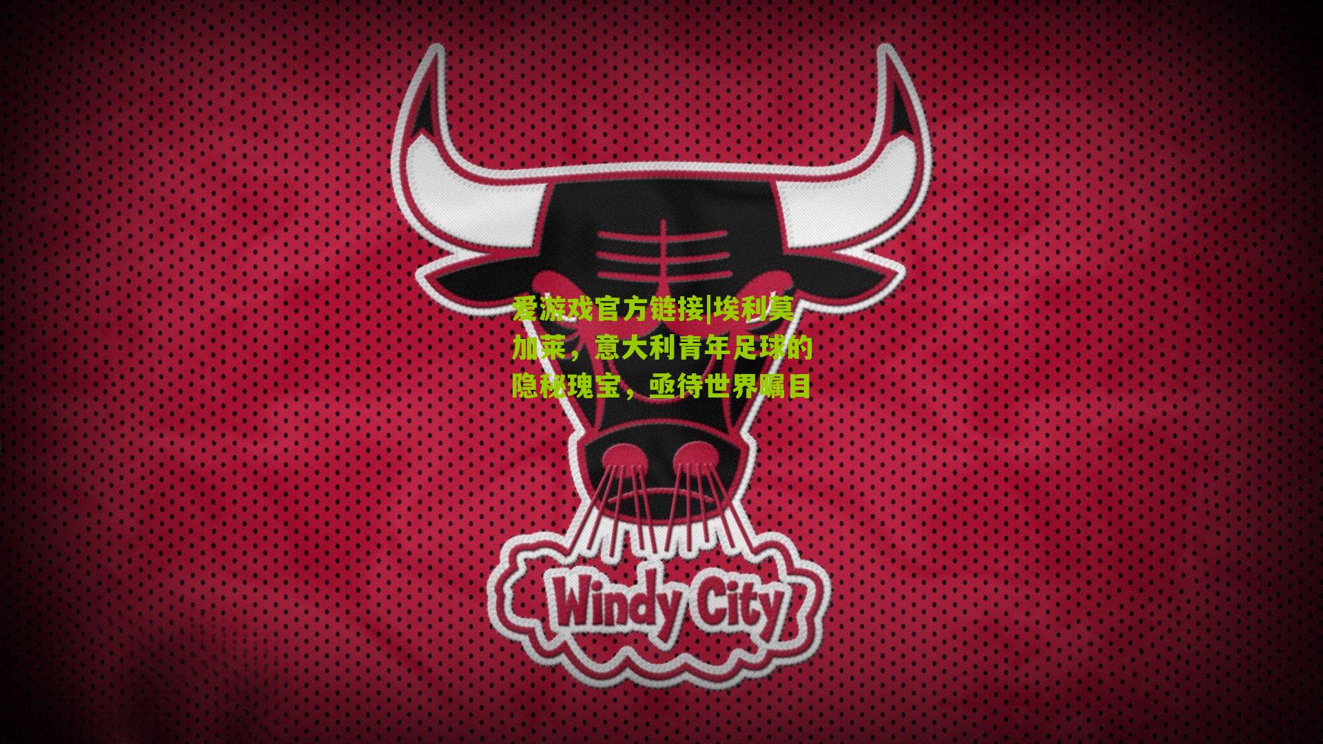 埃利莫加莱，意大利青年足球的隐秘瑰宝，亟待世界瞩目